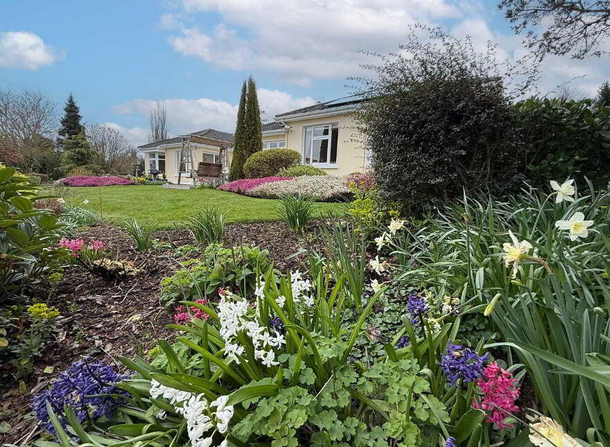 Robin Hill, Dunamase, Ballydavis, R32Y3YV