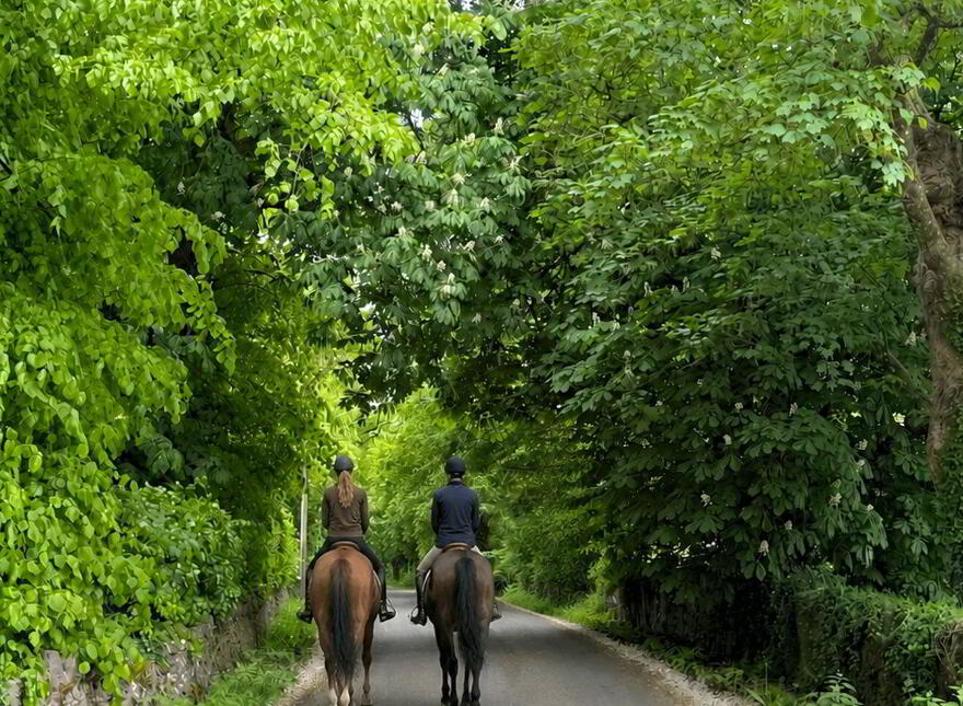 Newtown Cottage, Newtown, Durrow, R32Y177