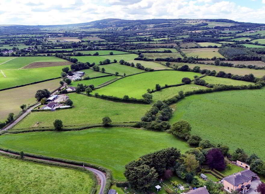 Mullaghanard, Rosenallis