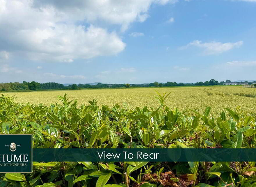 Rossleighan, Portlaoise, R32Y729