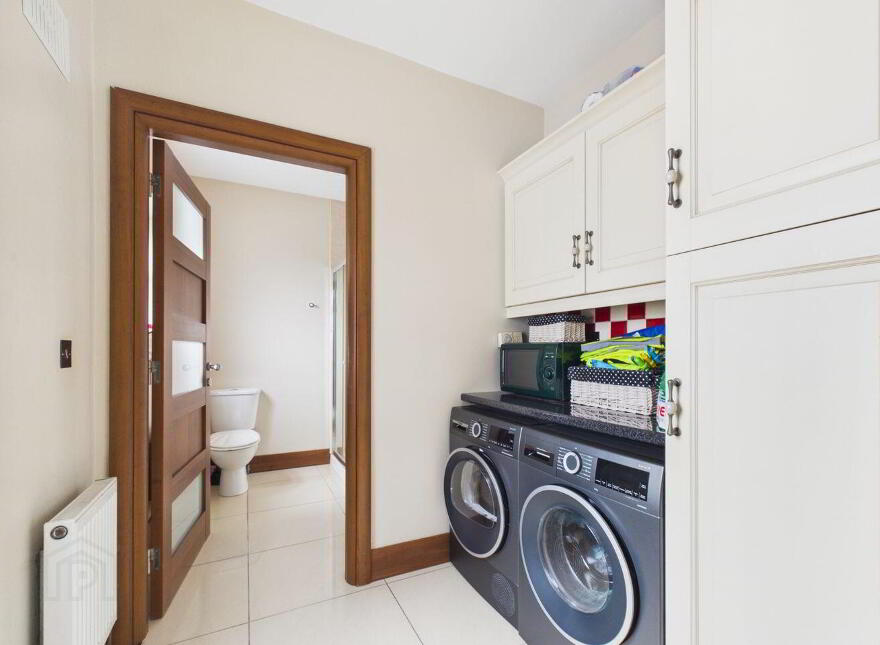 Shanboe, Borris-In-Ossory, Borris-In-Ossory, R32N5C8