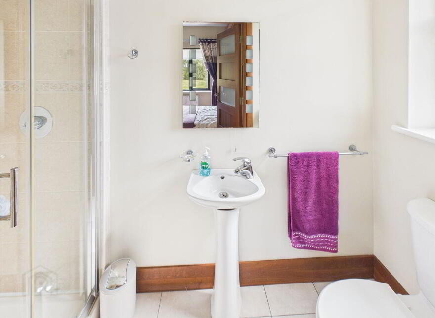 Shanboe, Borris-In-Ossory, Borris-In-Ossory, R32N5C8