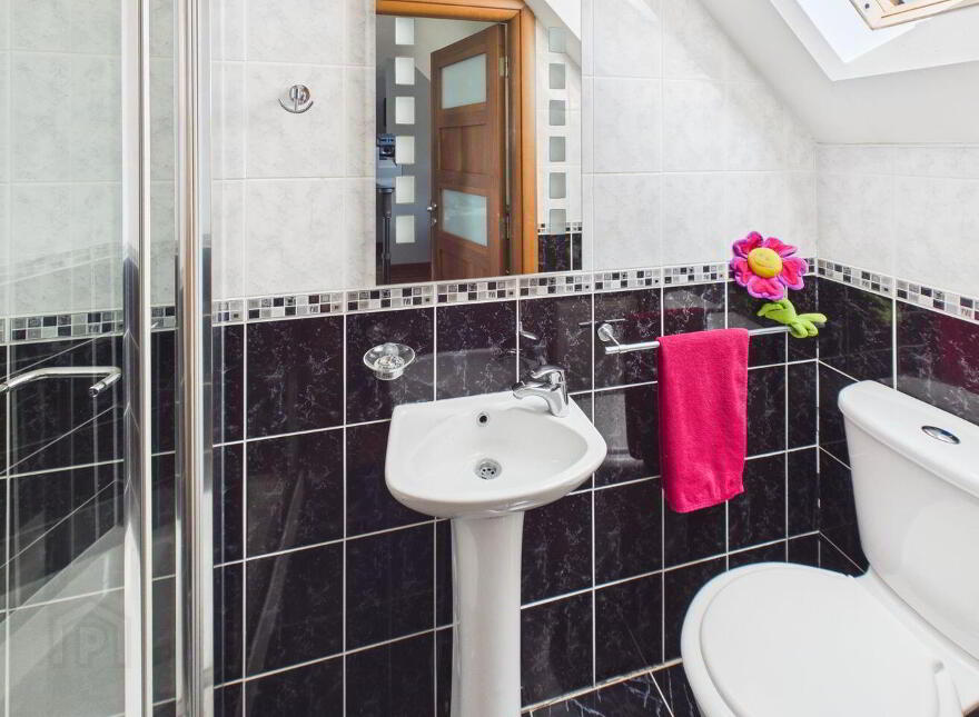 Shanboe, Borris-In-Ossory, Borris-In-Ossory, R32N5C8
