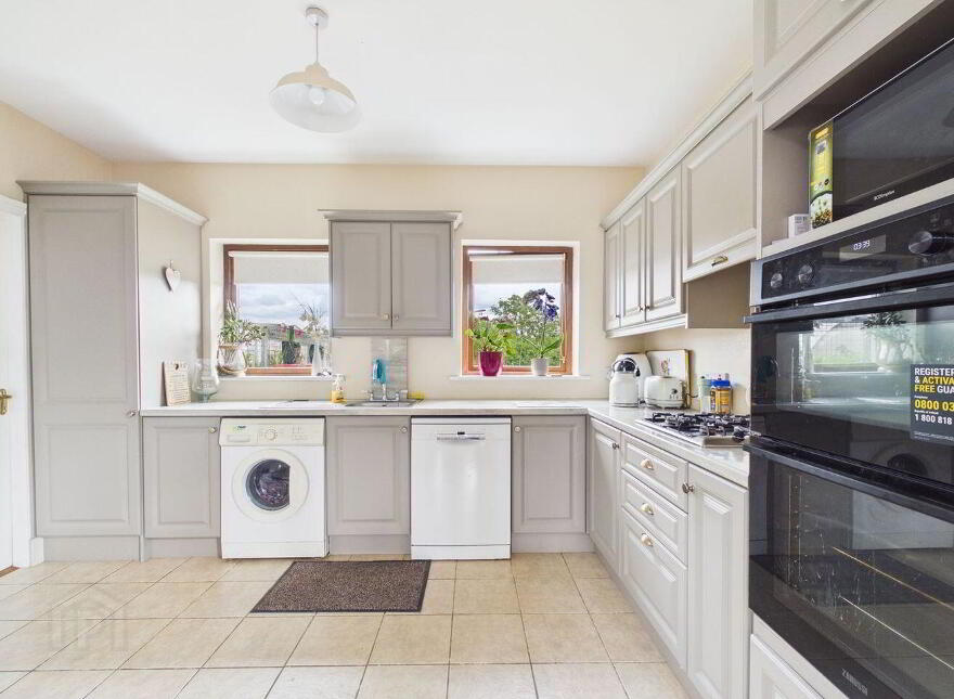 Ardlea, Mountrath