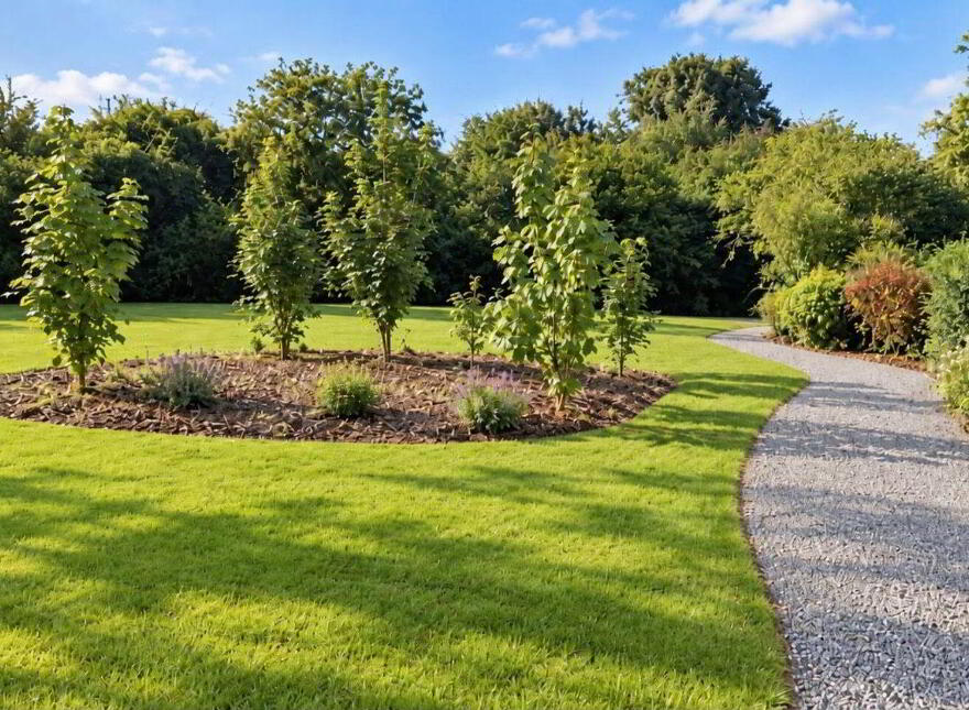 Ardlea, Mountrath