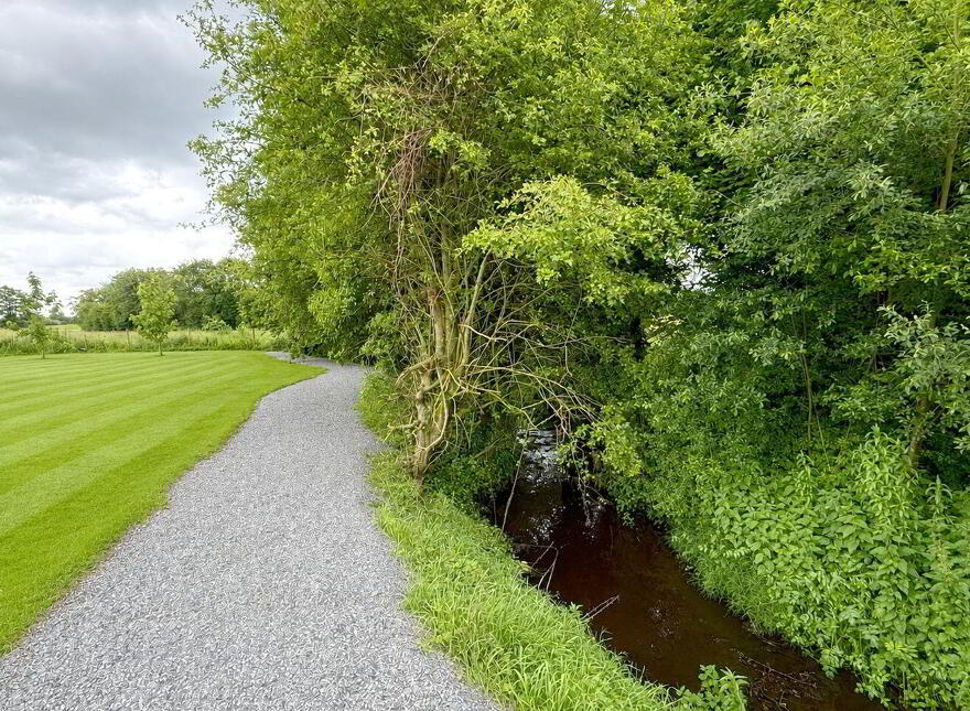 Ardlea, Mountrath