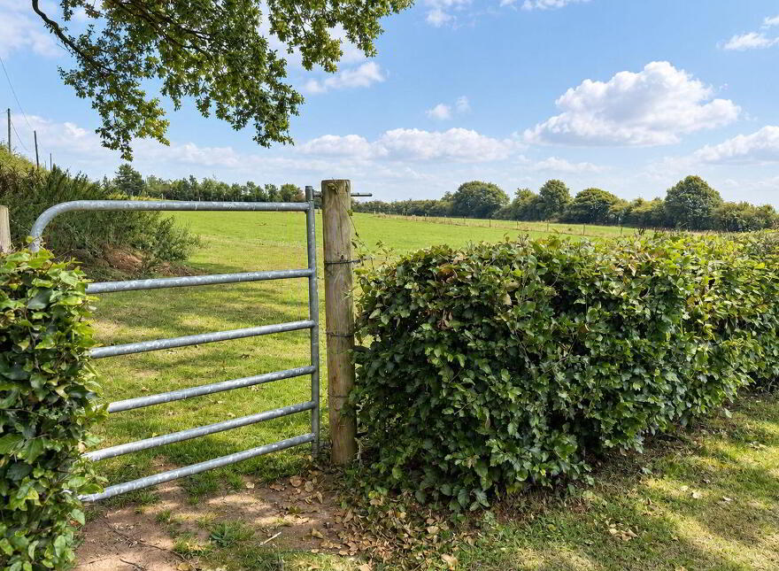 Deerpark, Mountrath, Mountrath, R32R6X4