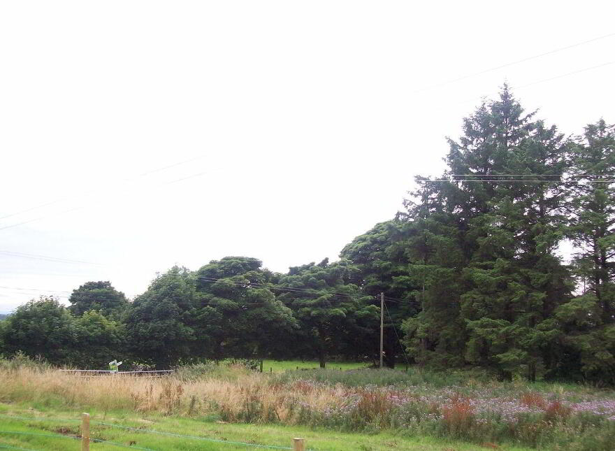 Murneen, Claremorris