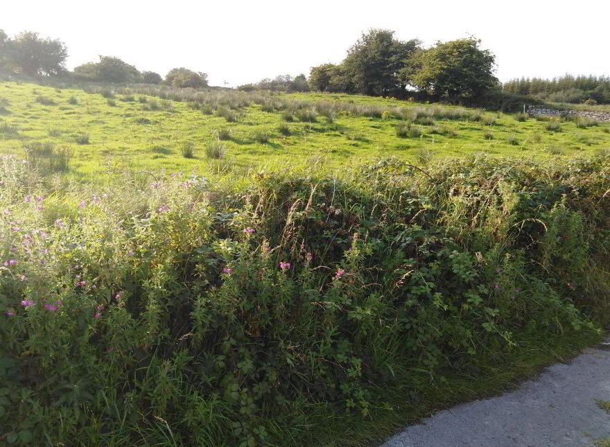 Glann, Kilkelly