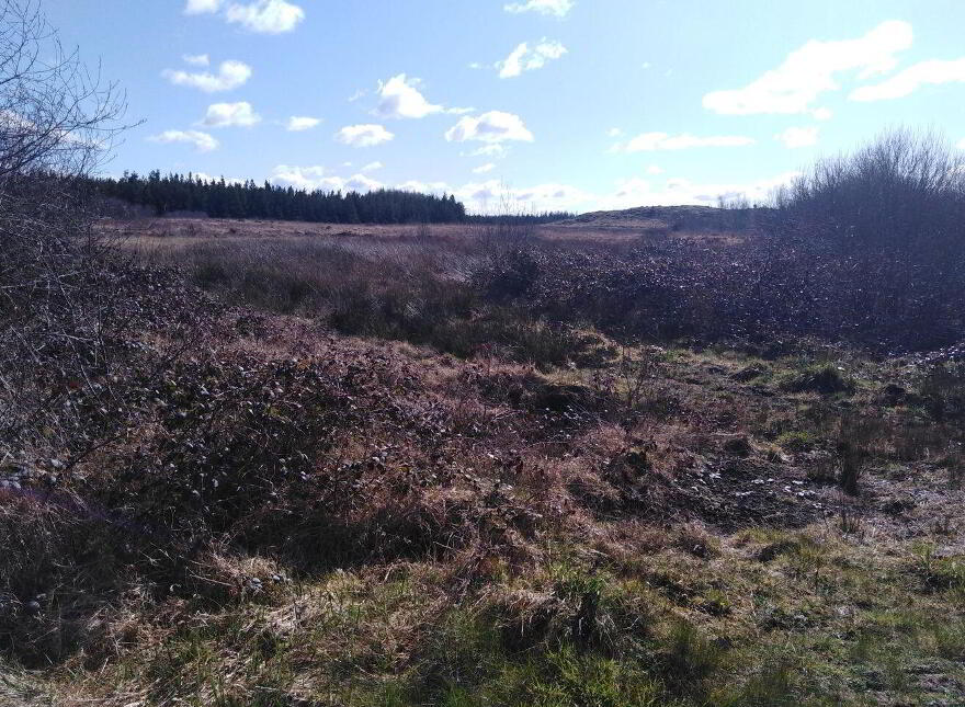 Culmore, Kilkelly