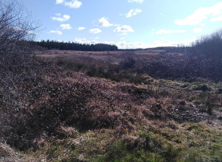 Culmore, Kilkelly