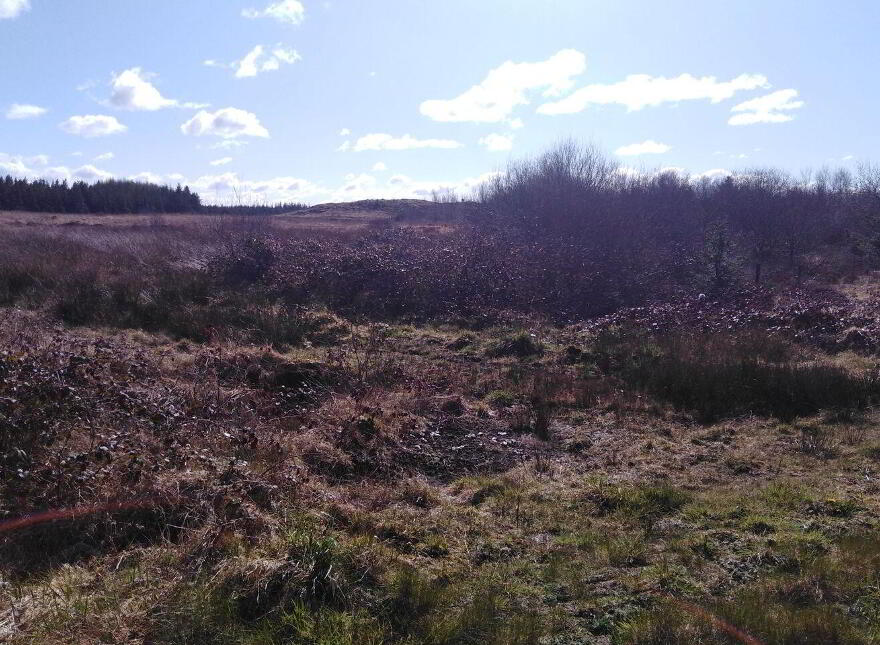 Culmore, Kilkelly