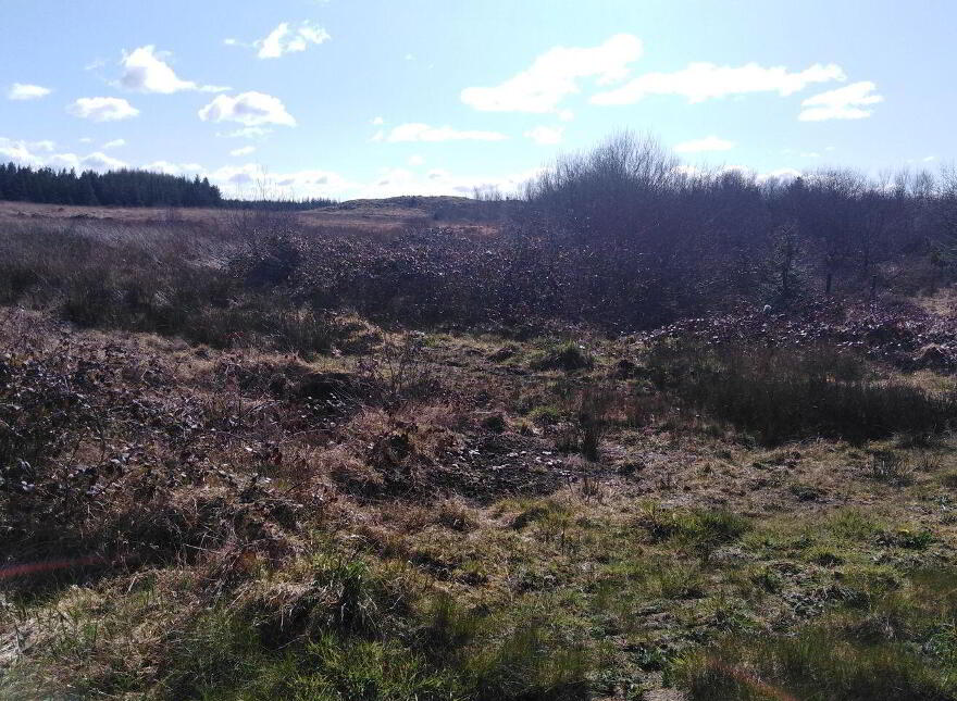 Culmore, Kilkelly