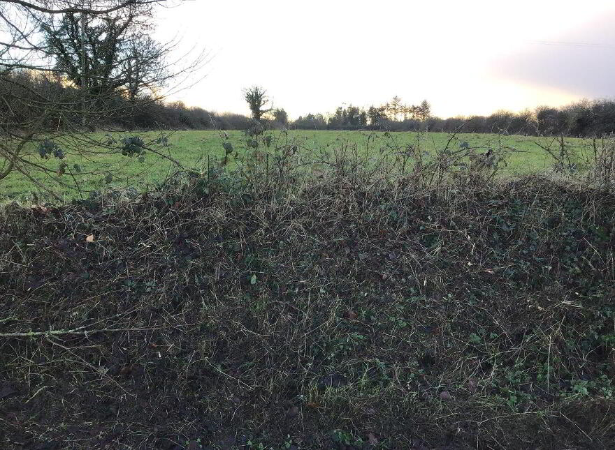 Carrowreagh, Milltown