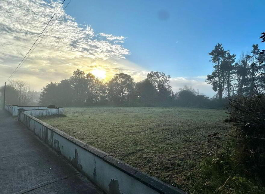Annagh Hill, Ballyglunin, Turloughmore