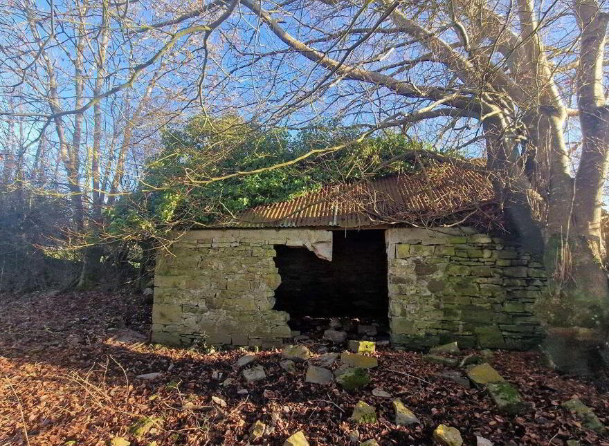 Cottage On, C.3.6 Acres Of Land At Glenballythomas, Tulsk