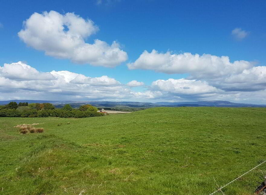 The Plains, Boyle