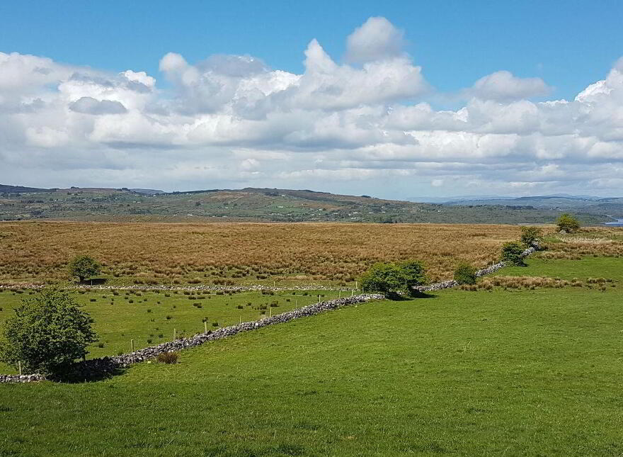 The Plains, Boyle
