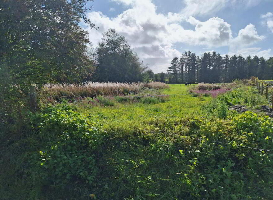 Bellfield, Claremorris