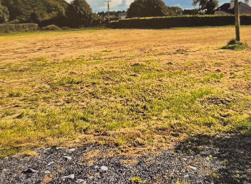 Skevard, Ballindine
