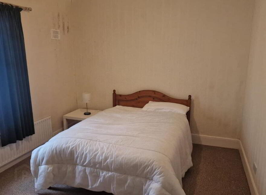 Saint Patrick's Street, Castlerea, F45H592