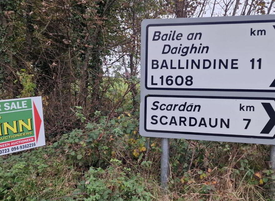 Lissatava, Claremorris, Hollymount, F12F803