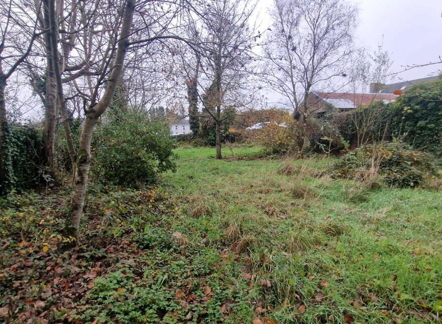 Corskeagh, Frenchpark, F45X292