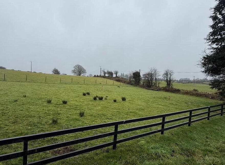 Carrow More, Cloonfad, Ballyhaunis, F35K642