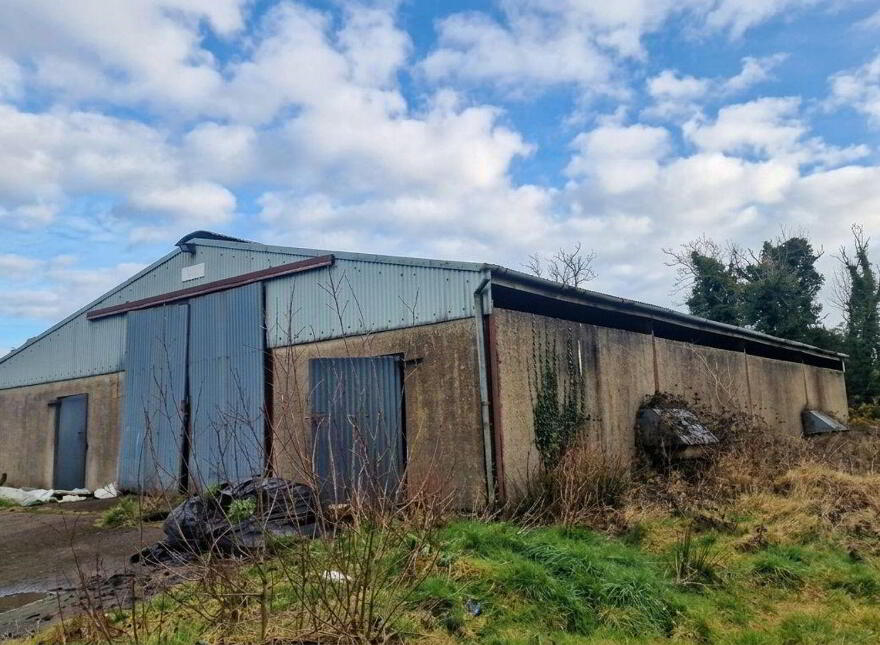 Killyvehy, Cloone, Corriga, N41PE03