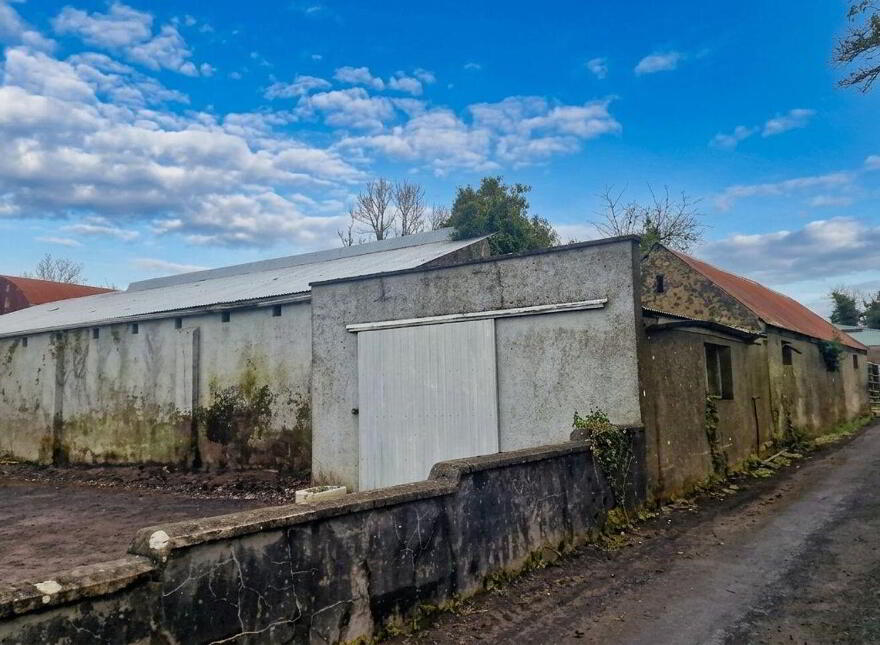 Killyvehy, Cloone, Corriga, N41PE03