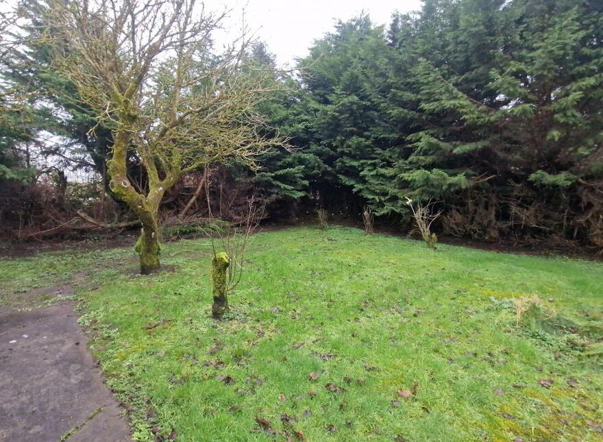 Cloonrane, Ballindine, Milltown, F12YV97