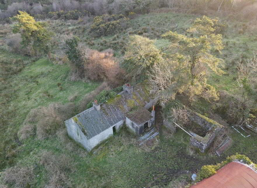 3 Roomed Cottage, C.19.85 Acres Bockagh, Ballaghaderreen