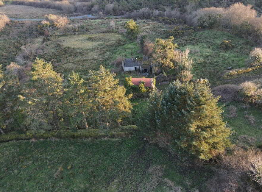 3 Roomed Cottage, C.19.85 Acres Bockagh, Ballaghaderreen