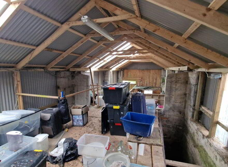 C.1.72 Acres With Stables Mist Haven Stud, Lecarrow, Knock, Claremorris, F12K258