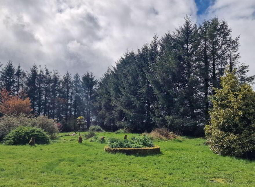 Lugakeeran, Castlerea, F45TA48