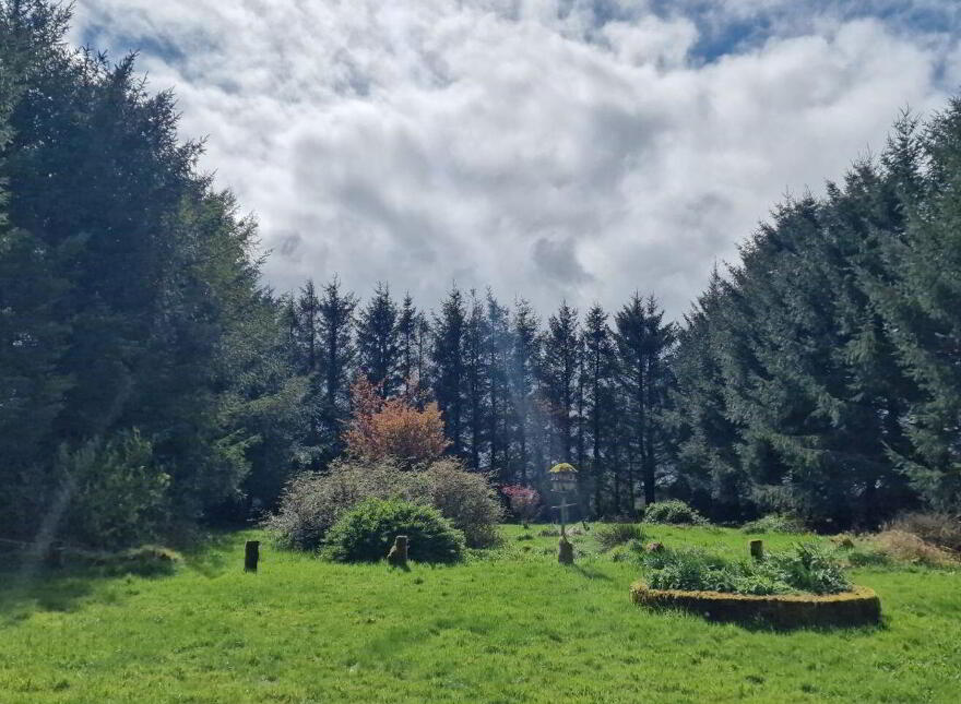 Lugakeeran, Castlerea, F45TA48