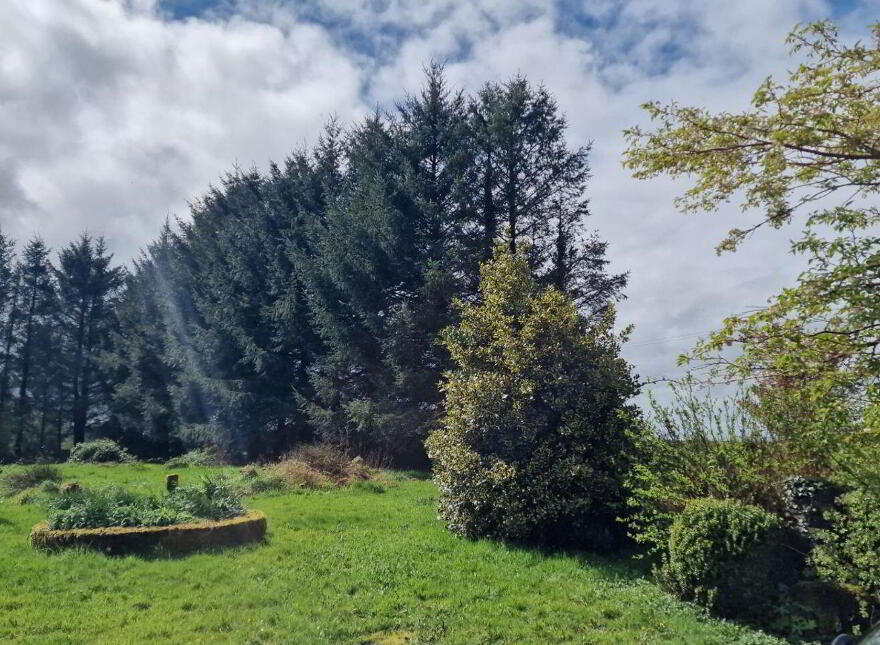 Lugakeeran, Castlerea, F45TA48