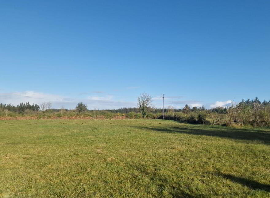 Trien, Castlerea