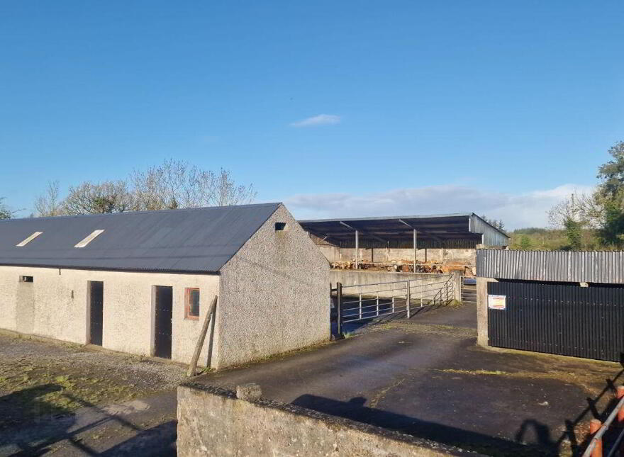 Trien, Castlerea