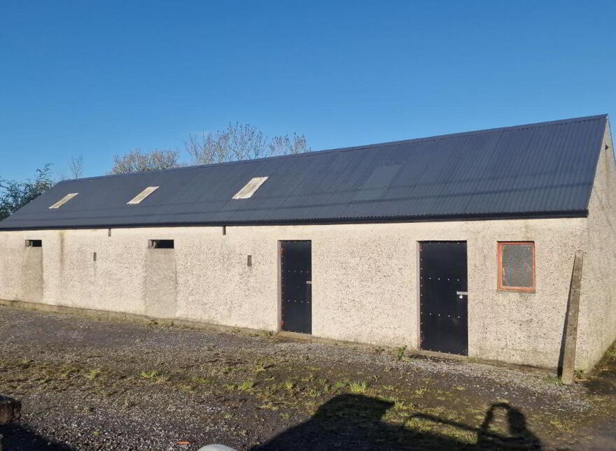 Trien, Castlerea