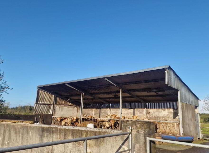Trien, Castlerea