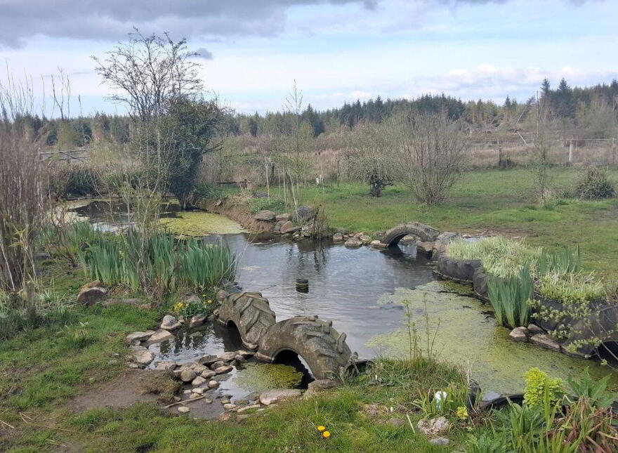 Caddellbrook School, Caddellbrook, Castlerea, F45R940
