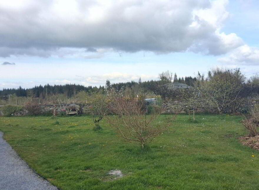 Caddellbrook School, Caddellbrook, Castlerea, F45R940