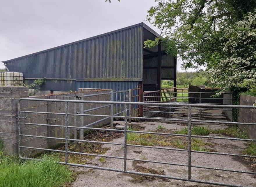 C.1.877 Acres And Shed Moorfield, Williamstown