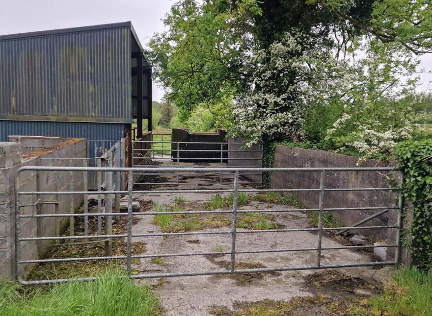C.1.877 Acres And Shed Moorfield, Williamstown