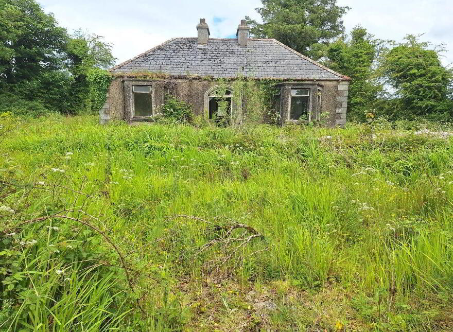 Barnagurry, Kiltimagh, F12R252