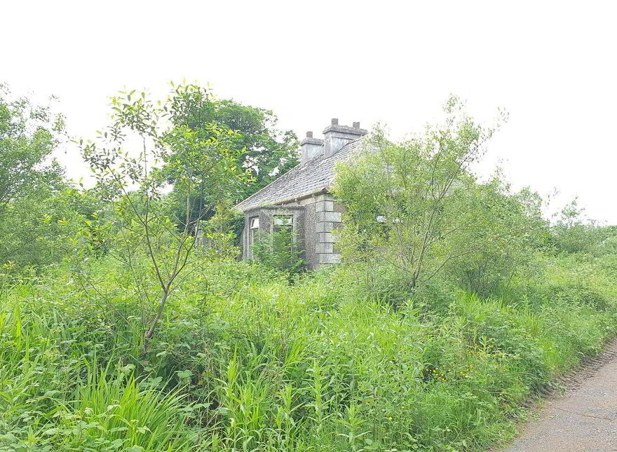Barnagurry, Kiltimagh, F12R252