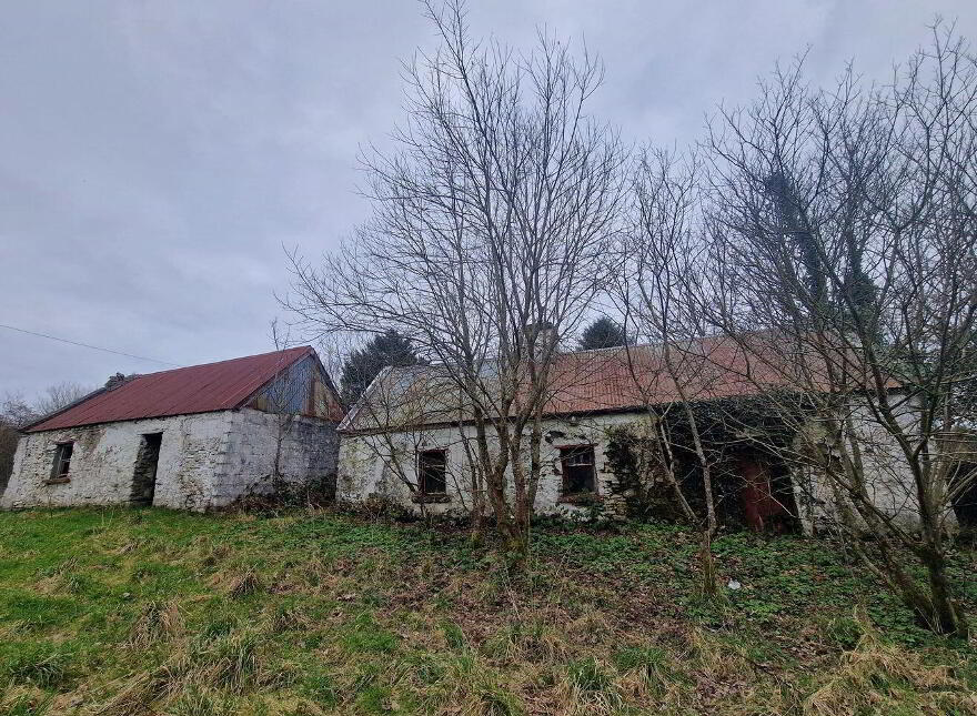 Drumalooaun, Swinford