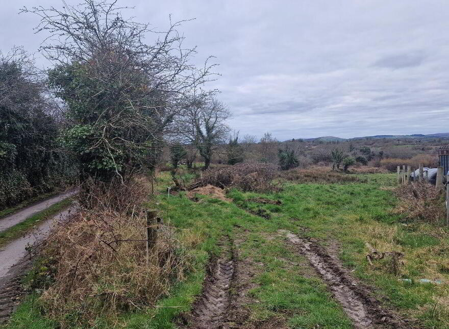 Drumalooaun, Swinford