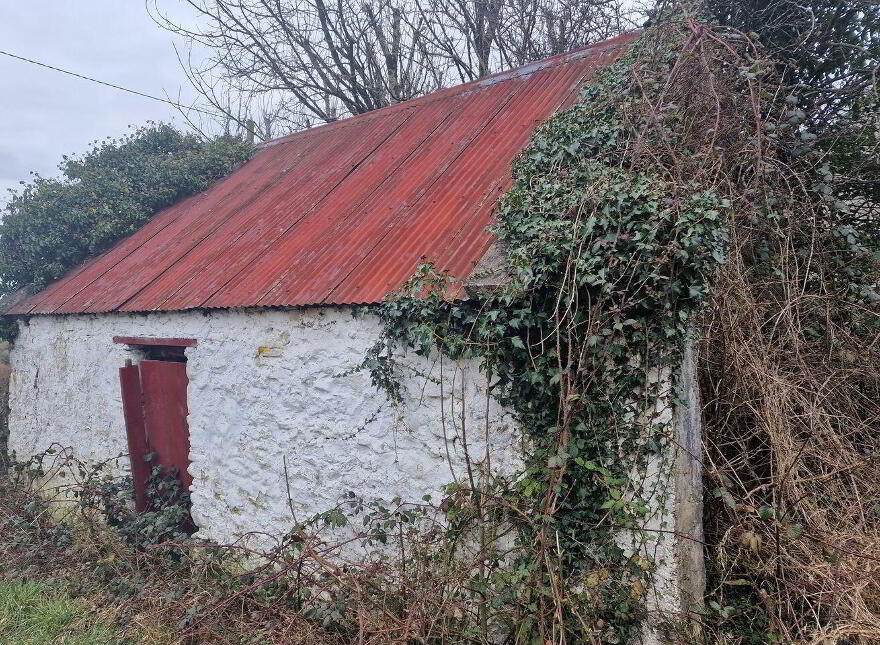 Drumalooaun, Swinford